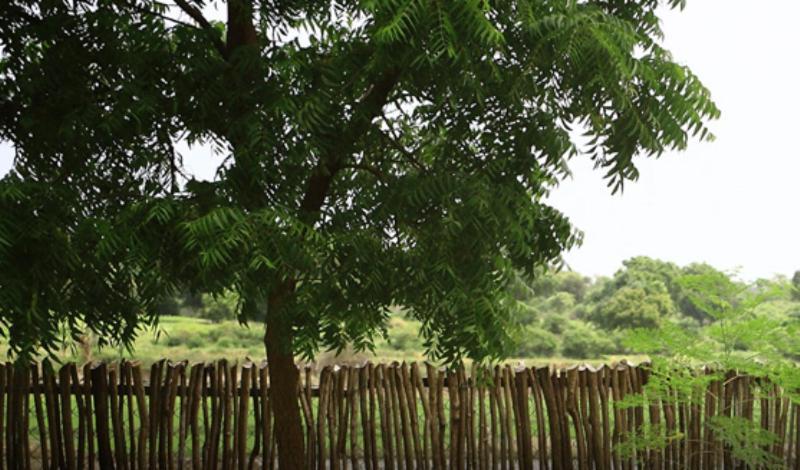 Yala Leopard Lodge Zewnętrze zdjęcie